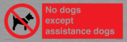 no-dogs-except-assistance-dogs~